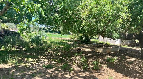 Foto 3 de Finca rústica en venda a Vejer, Vejer de la Frontera