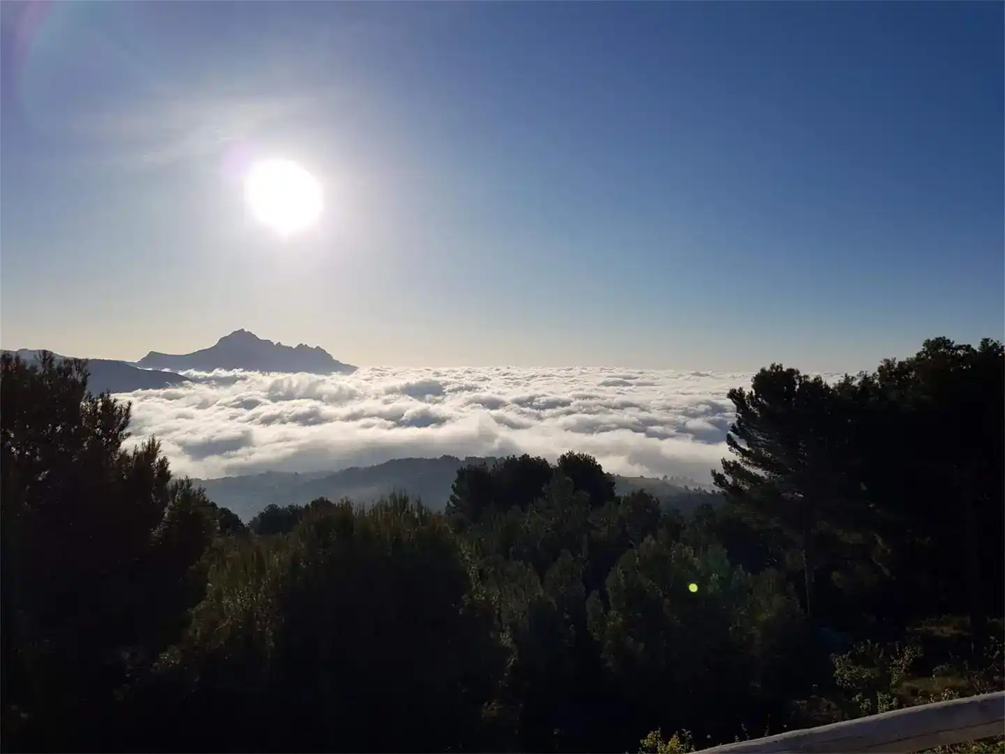 Vista exterior de Casa o xalet en venda en Benimantell amb Aire condicionat, Piscina i Balcó