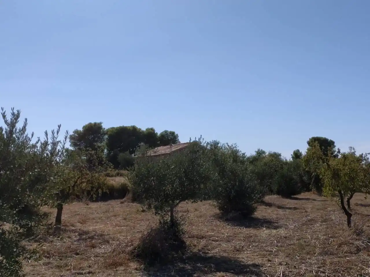 Terreno rústico en venta en Castelldans, imagen 8