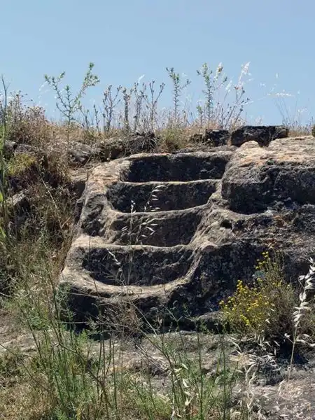 Vista exterior de Finca rústica en venta en Alcañiz