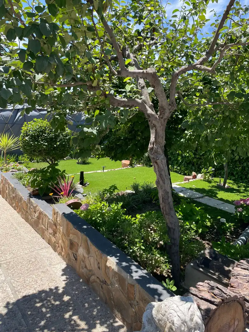 Jardí de Casa o xalet en venda en Santa Cruz del Retamar amb Calefacció, Jardí privat i Terrassa