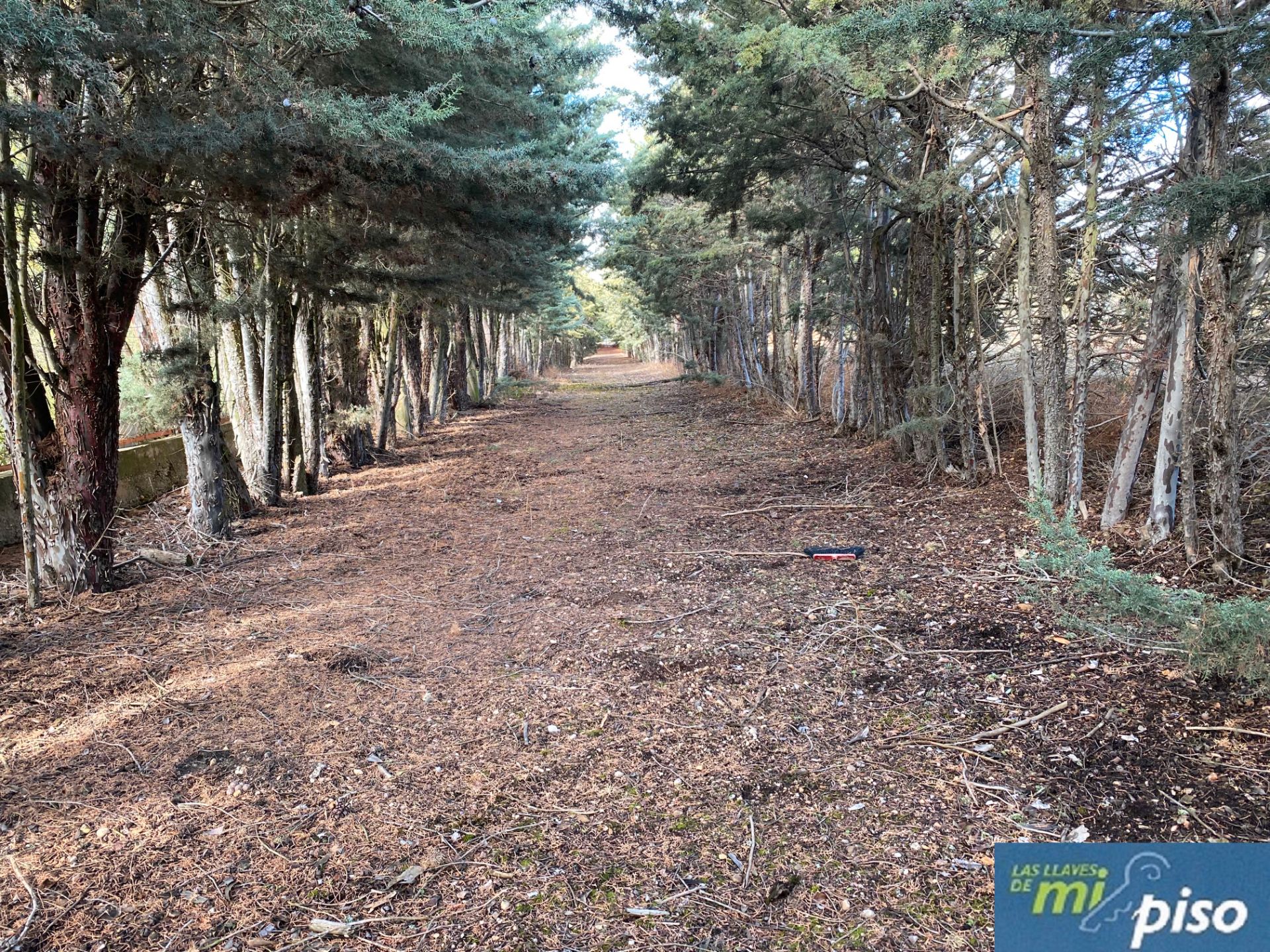 Casa o xalet en venda en Cubillas de Santa Marta amb Calefacció, Jardí privat i Terrassa