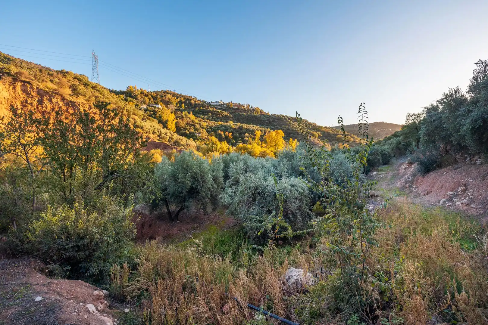 Casa o xalet en venda en Cogollos de la Vega