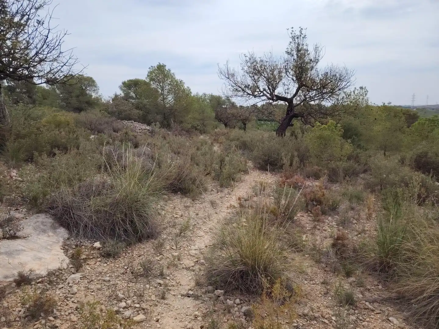 Terreny rústic en venda a Santa Bárbara, imagen 7