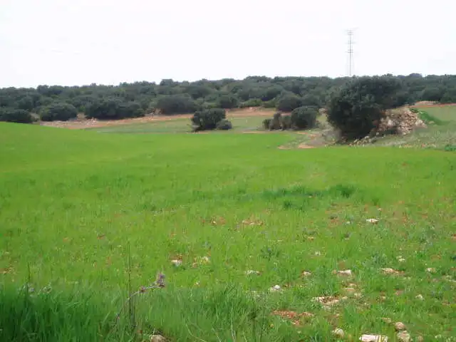 Terreni e lotti in vendita a Motilla del Palancar, imagen 7