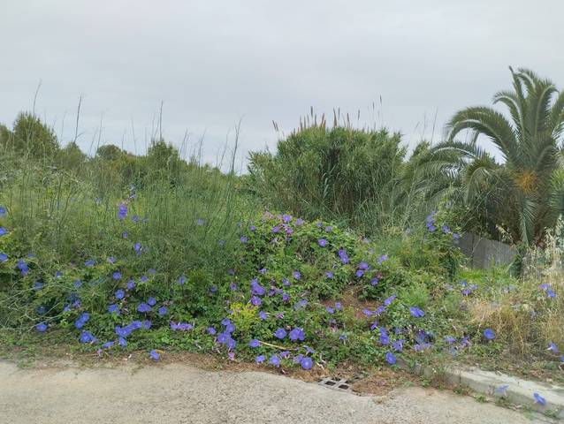 Terreno residencial en Venta en N/A, -1 en Montgó - Ermita