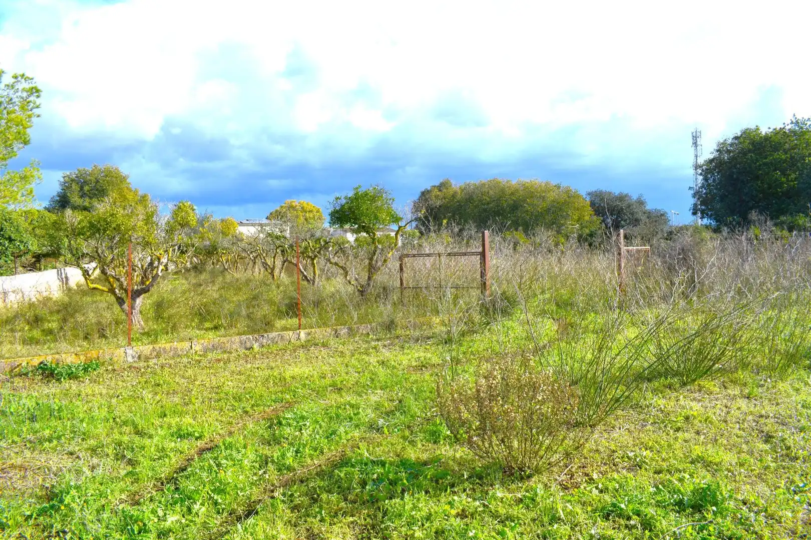 Residential land for sale in Llubí, imagen 30