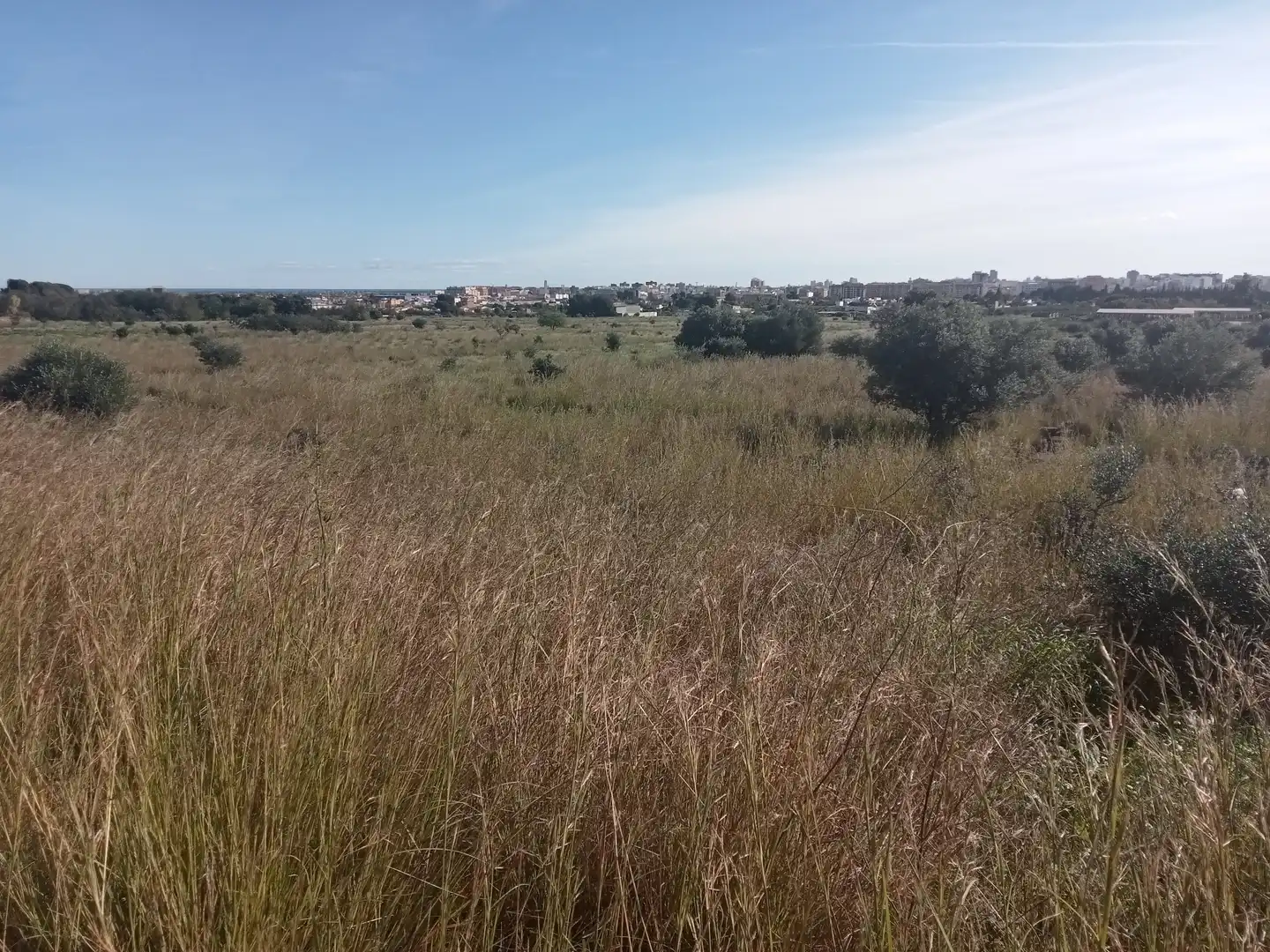Terreno rustico in vendita a El Grao, imagen 3
