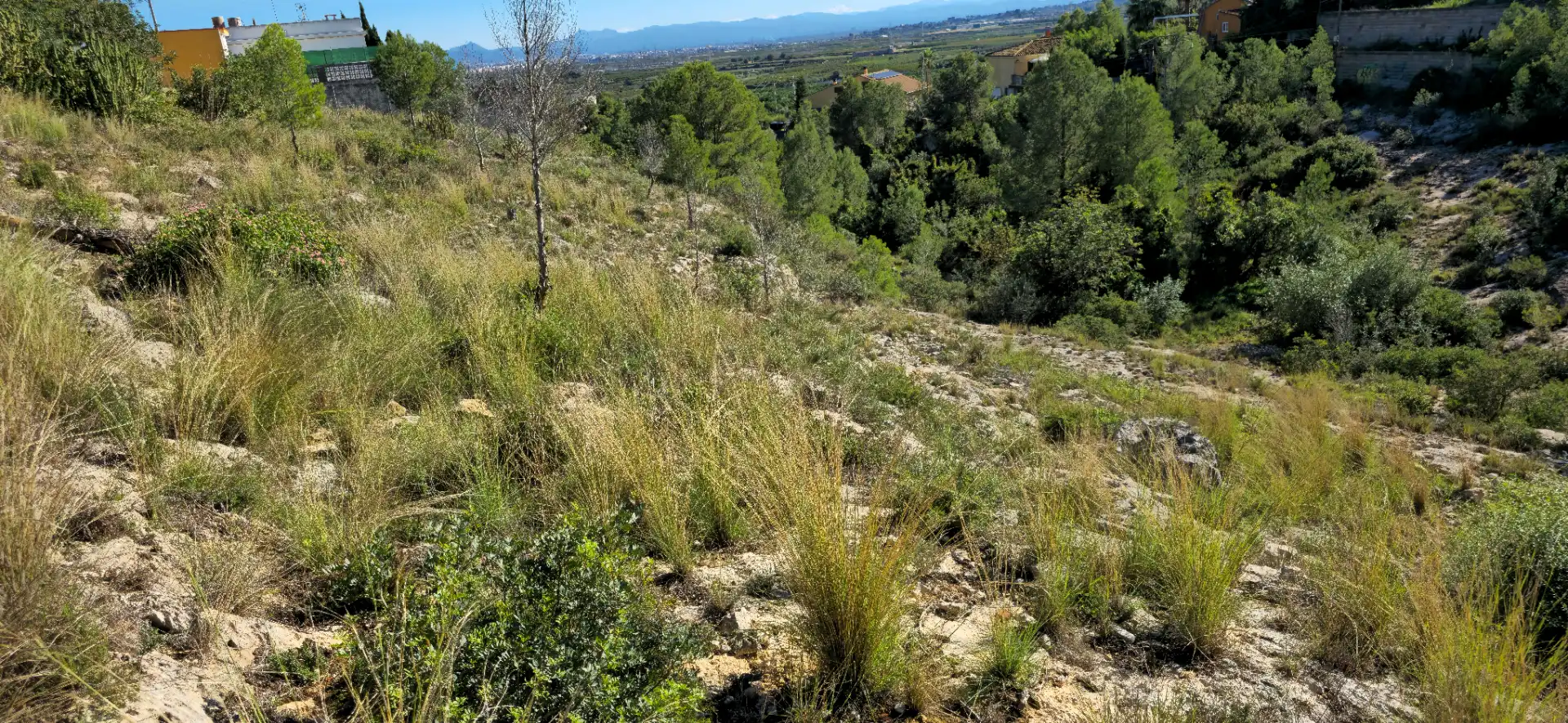 Wohnbaugrundstück zum Verkauf in Calle C/2 Lloma Molina 31, imagen 53