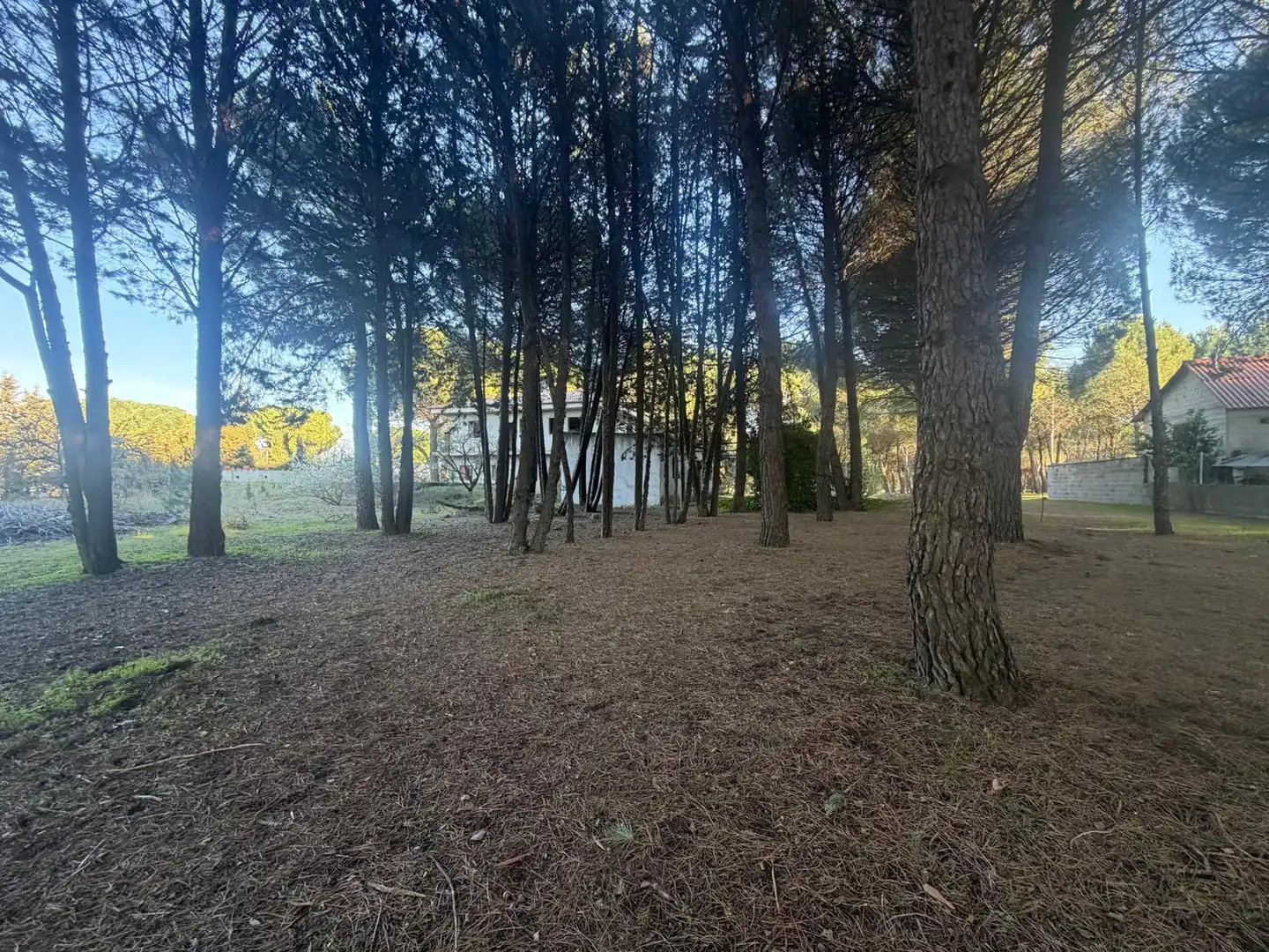 Finca rústica en venta en Aldeamayor de San Martín con Jardín privado y Trastero