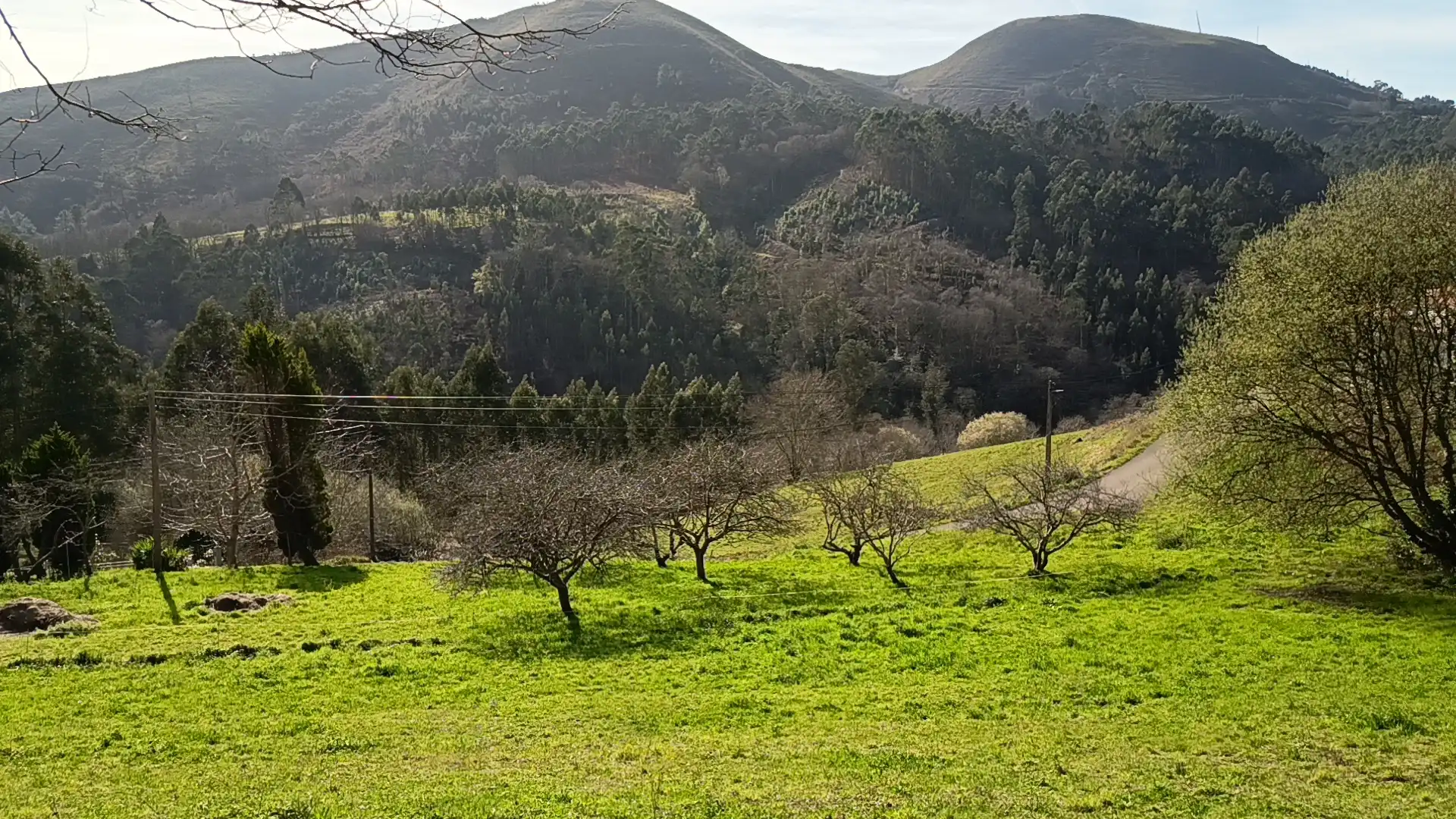 Grundstücke und Bauplätze zum Verkauf in La Peral, imagen 7