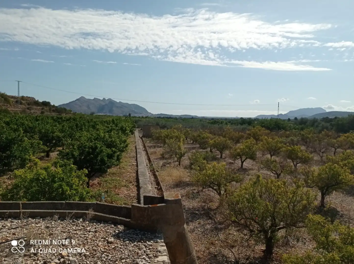 Residential land for sale in Tormos, imagen 11