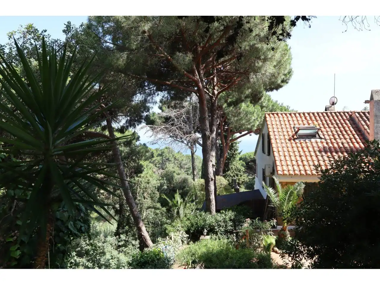 Garden of Detached homes for sale in Lloret de Mar  with Air Conditioner, Heating and Private garden