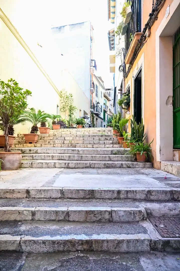 Vista exterior de Planta baja en venta en  Palma de Mallorca