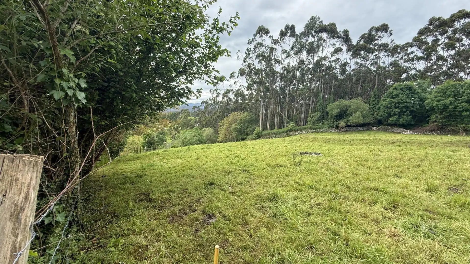 Terreno en venta en Valdáliga