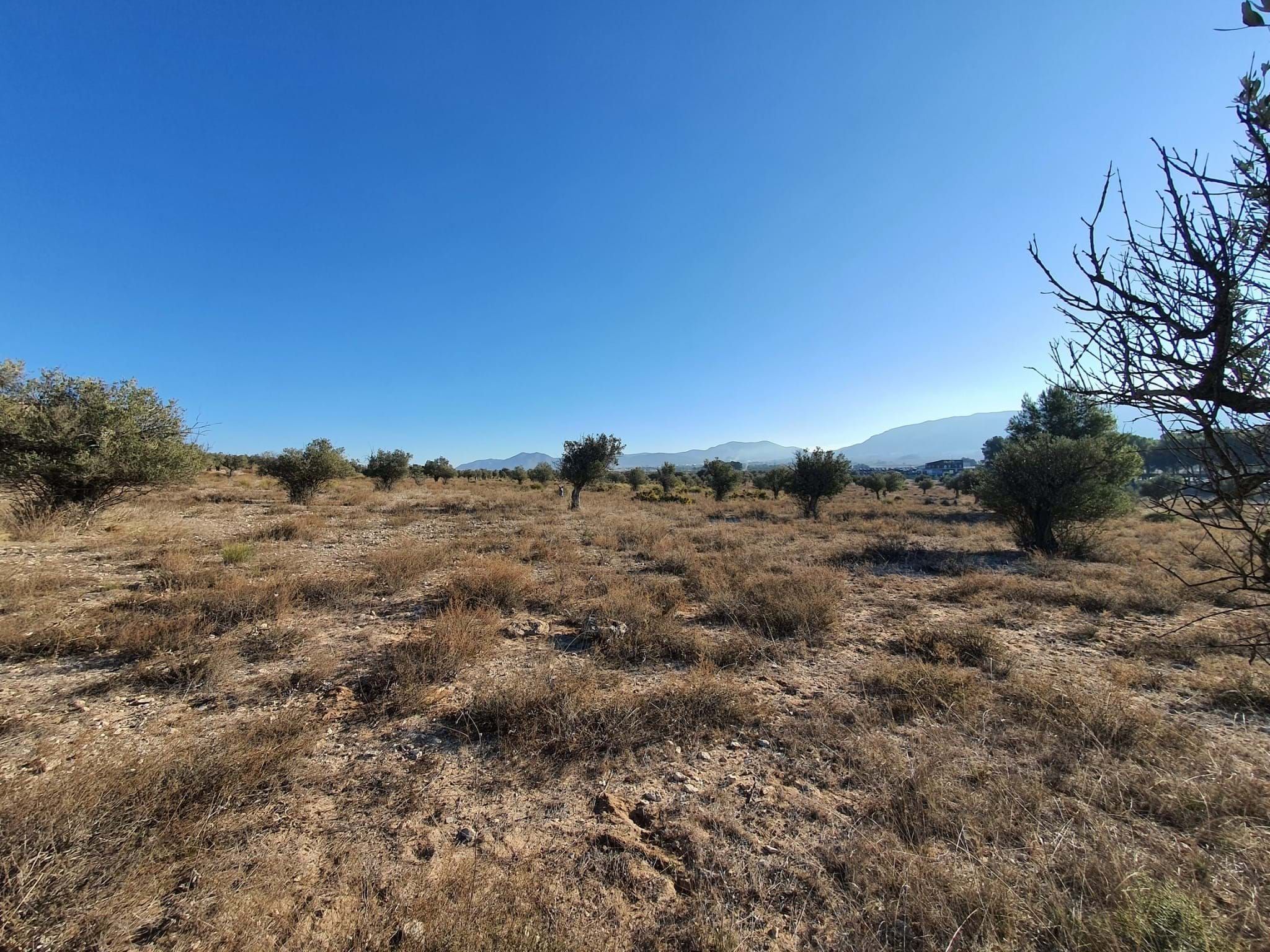 Residencial en venda en Villena