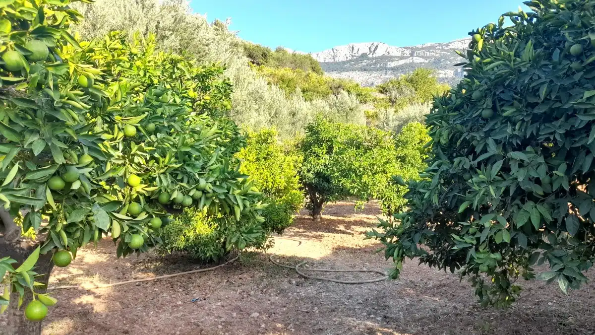 Casa adosada en venta en Sóller