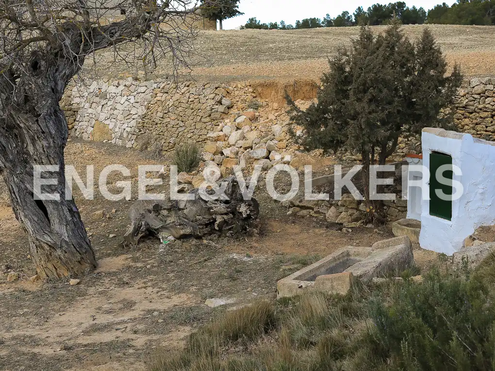 Finca rústica en venda en Ayora amb Calefacció, Jardí privat i Terrassa