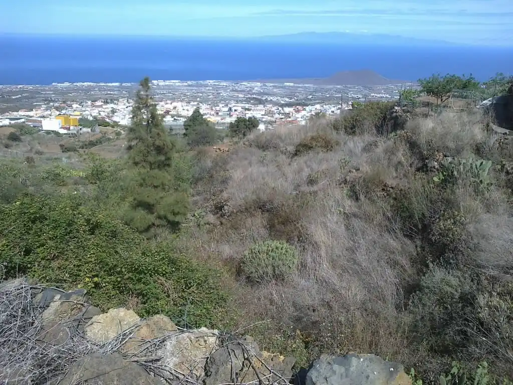 Rural land for sale in Calle Galván, imagen 12