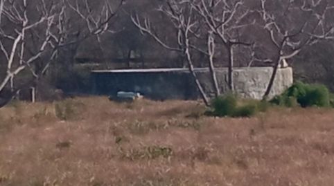 FINCA CON POZO Y CONSTRUCCION, immagine 5