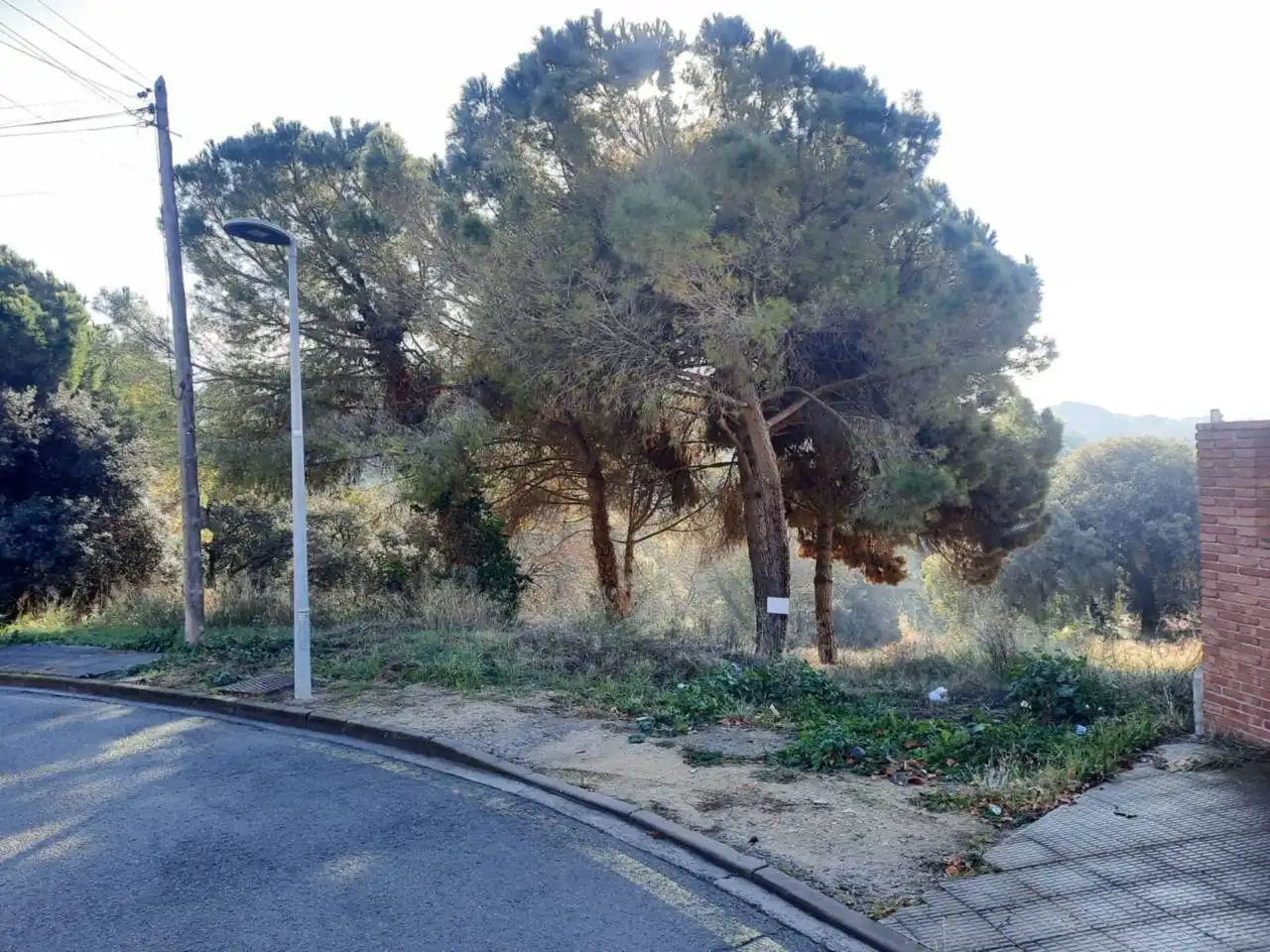 Terreny rústic en venda a Calle COMAPEDROSA, imagen 2