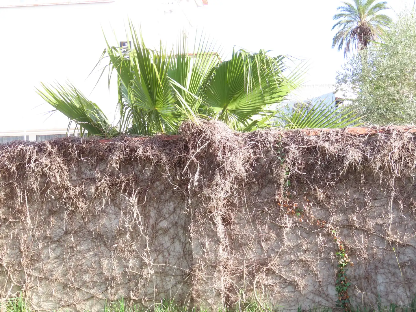 Vista exterior de Piso en venta en Empuriabrava con Jardín privado, Terraza y Amueblado