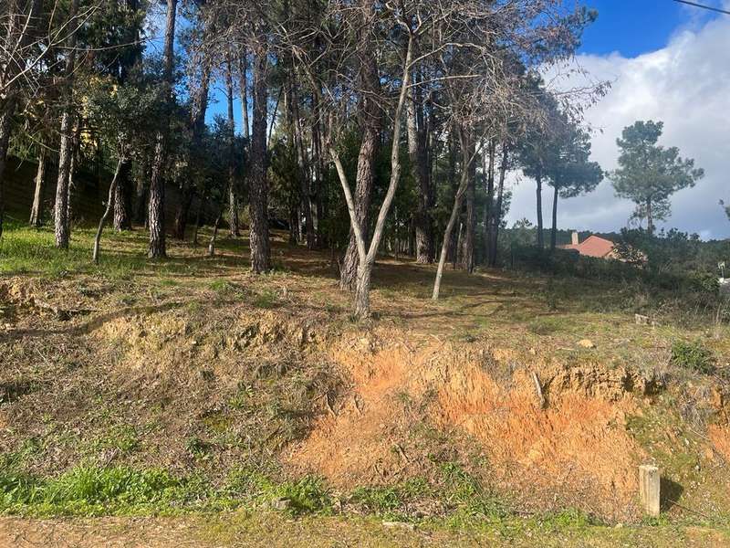 Residential for sale in El Tiemblo 