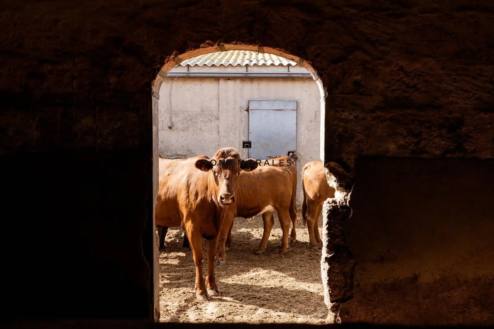 Casa rústica amb terrassa en venda a Cami de Son Saura, imagen 21