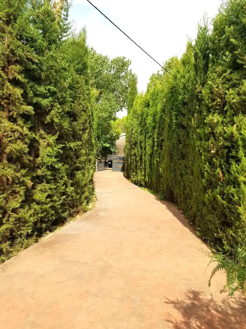 Casa rústica en venda a Torrenueva, imagen 15