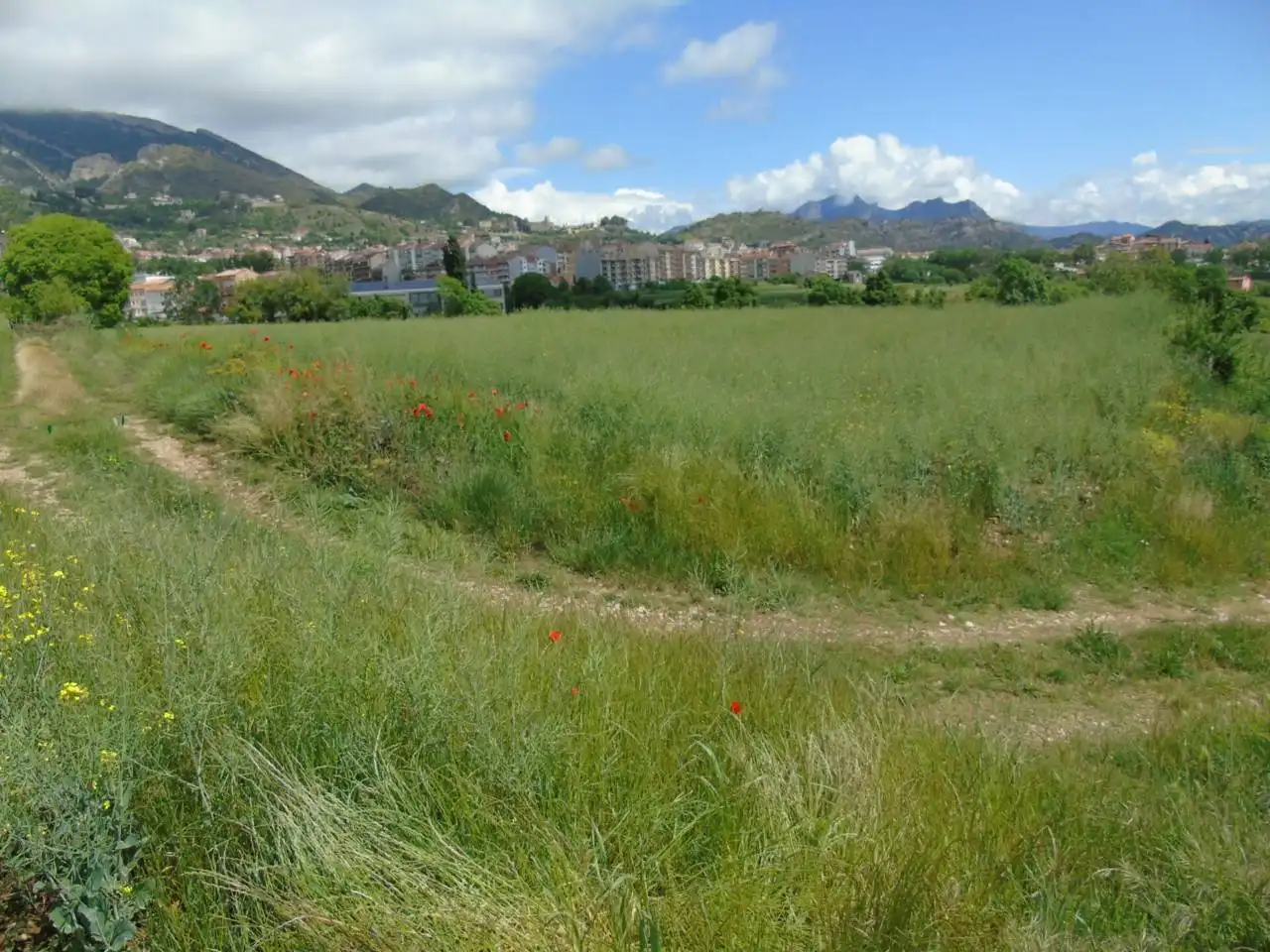 Terreno rustico in vendita a Berga, imagen 7