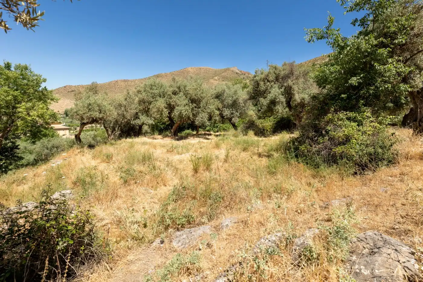 Lands and plots for sale in Calle FUENTE 16 CAÑOS 12, imagen 19