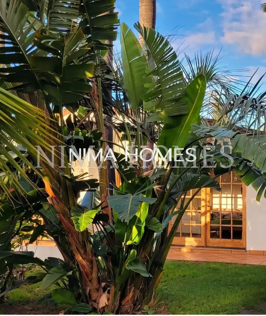 Maison avec jardin à vendre à Las Cuevas - Los Gómez, imagen 50