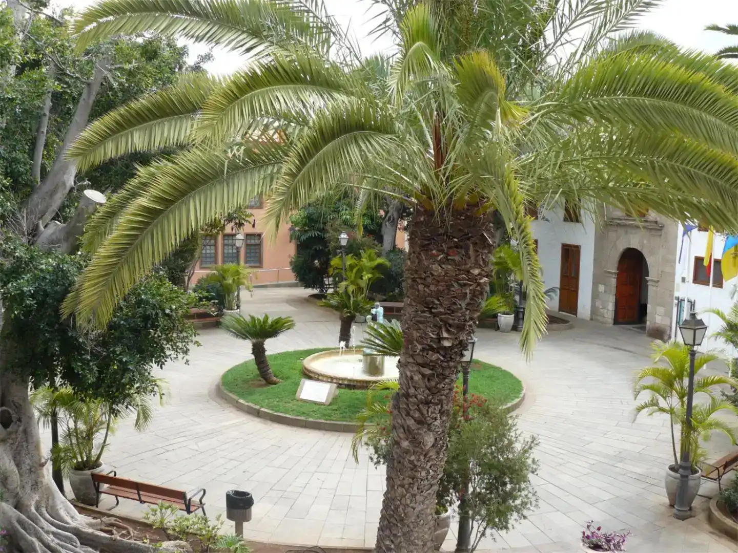 Garden of Office for rent in Güímar