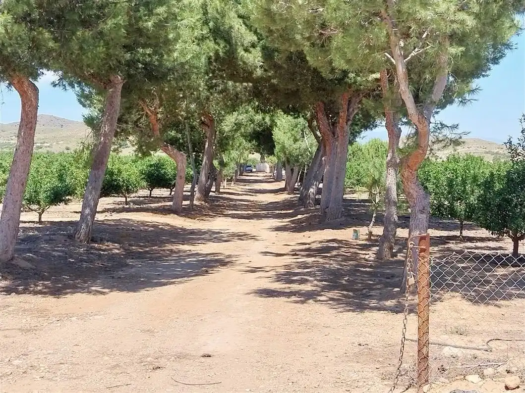 Casa amb jardí en venda a 30334 1, imagen 40