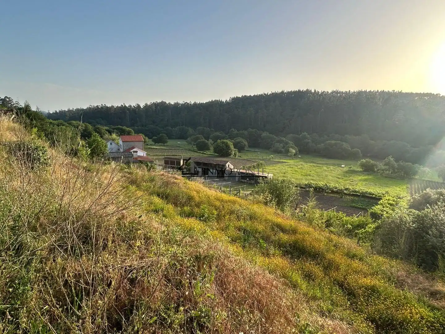 Casa o chalet en venta en Moraña con Jardín privado