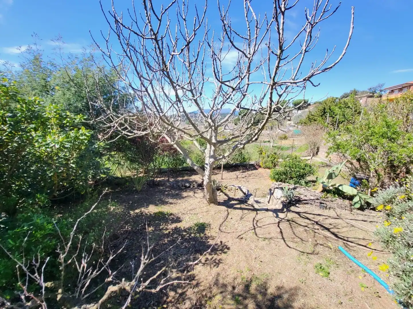 Xalet amb piscina en venda a Calle Cap de Creus, imagen 40
