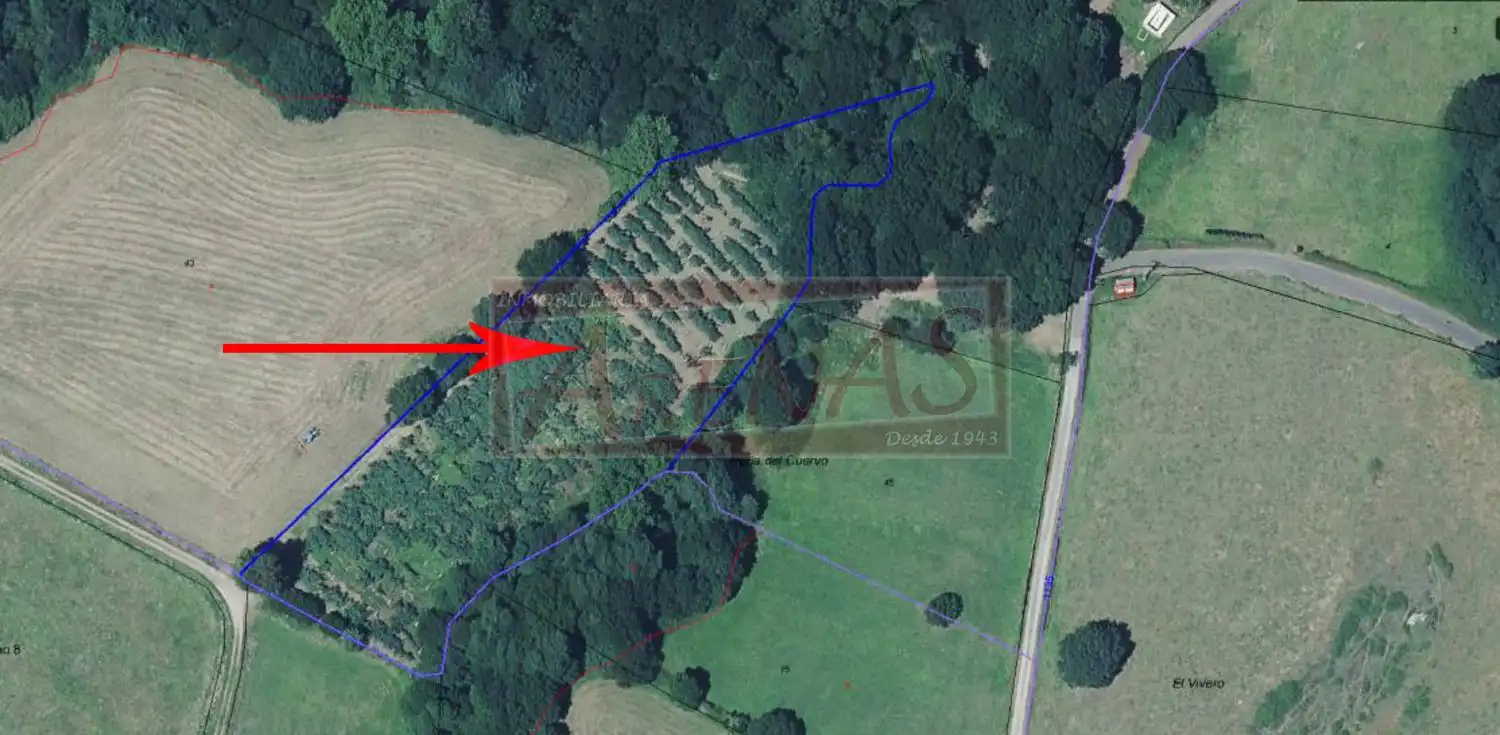Land for sale in Marina de Cudeyo