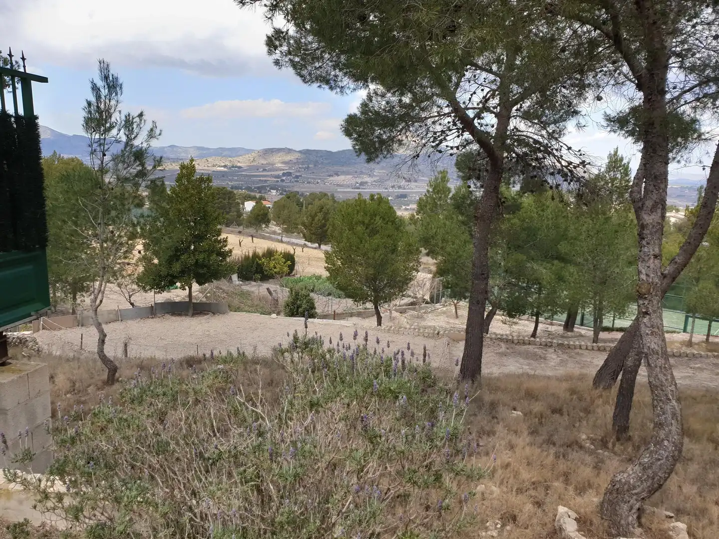 Xalet amb piscina en venda a San Crispín - Huerta Nueva-Estación, imagen 2