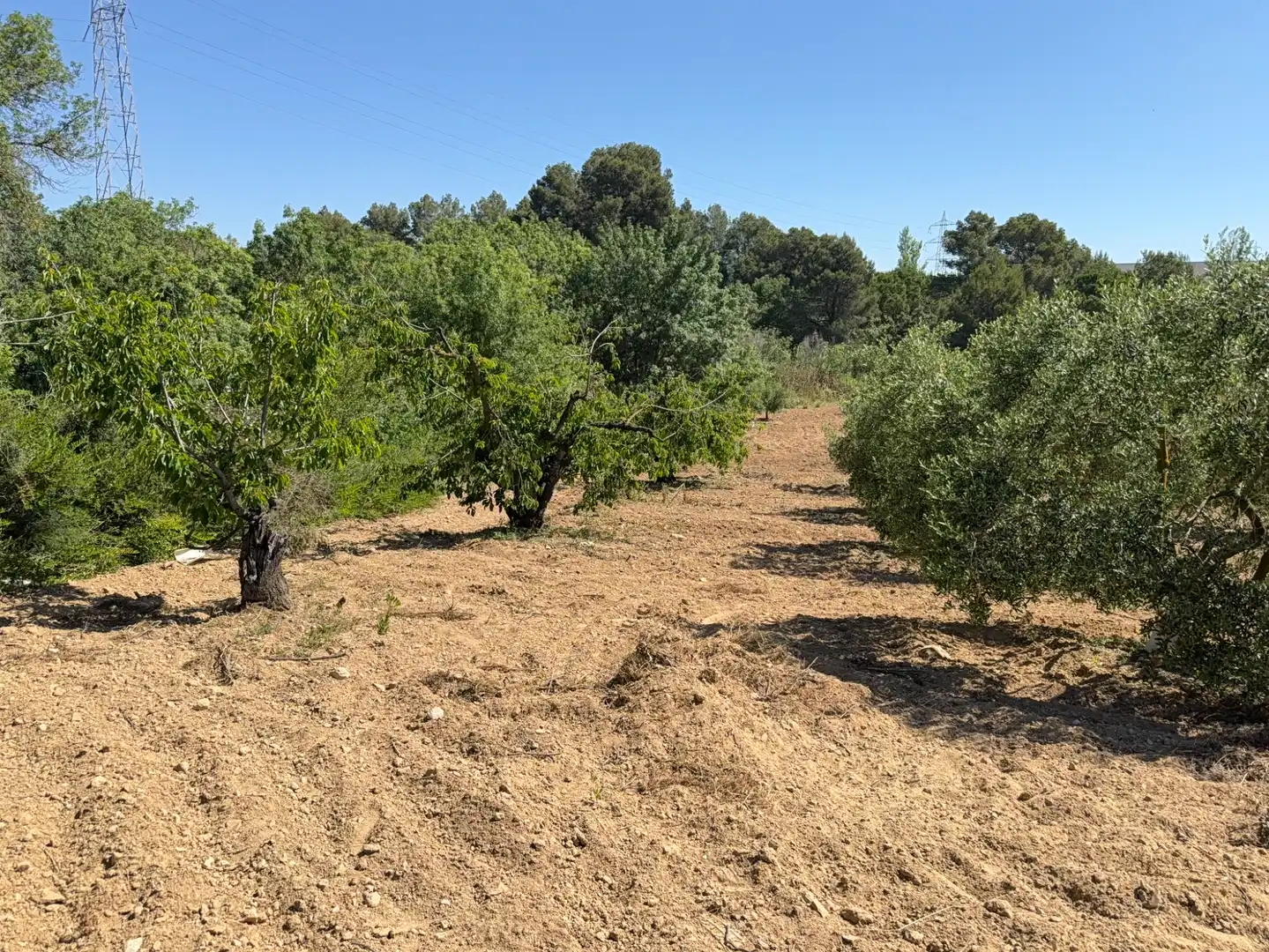 Rustikales Grundstück zum Verkauf in Camí del Cementiri 97, imagen 6