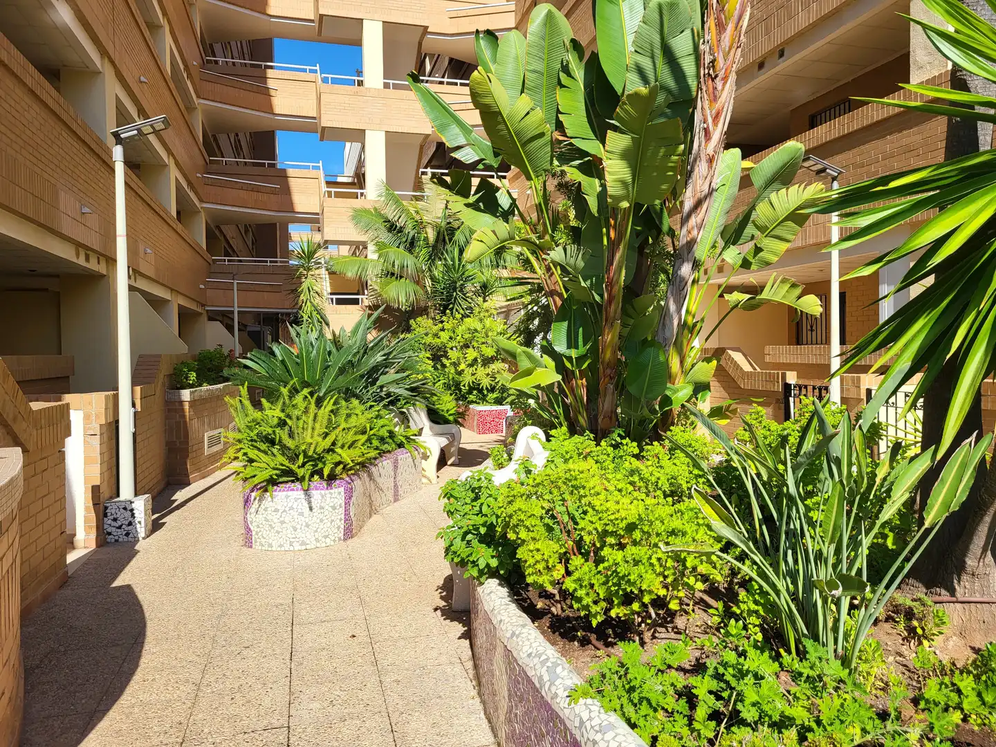 Piso con piscina en venta en Avenida Central 38, imagen 25