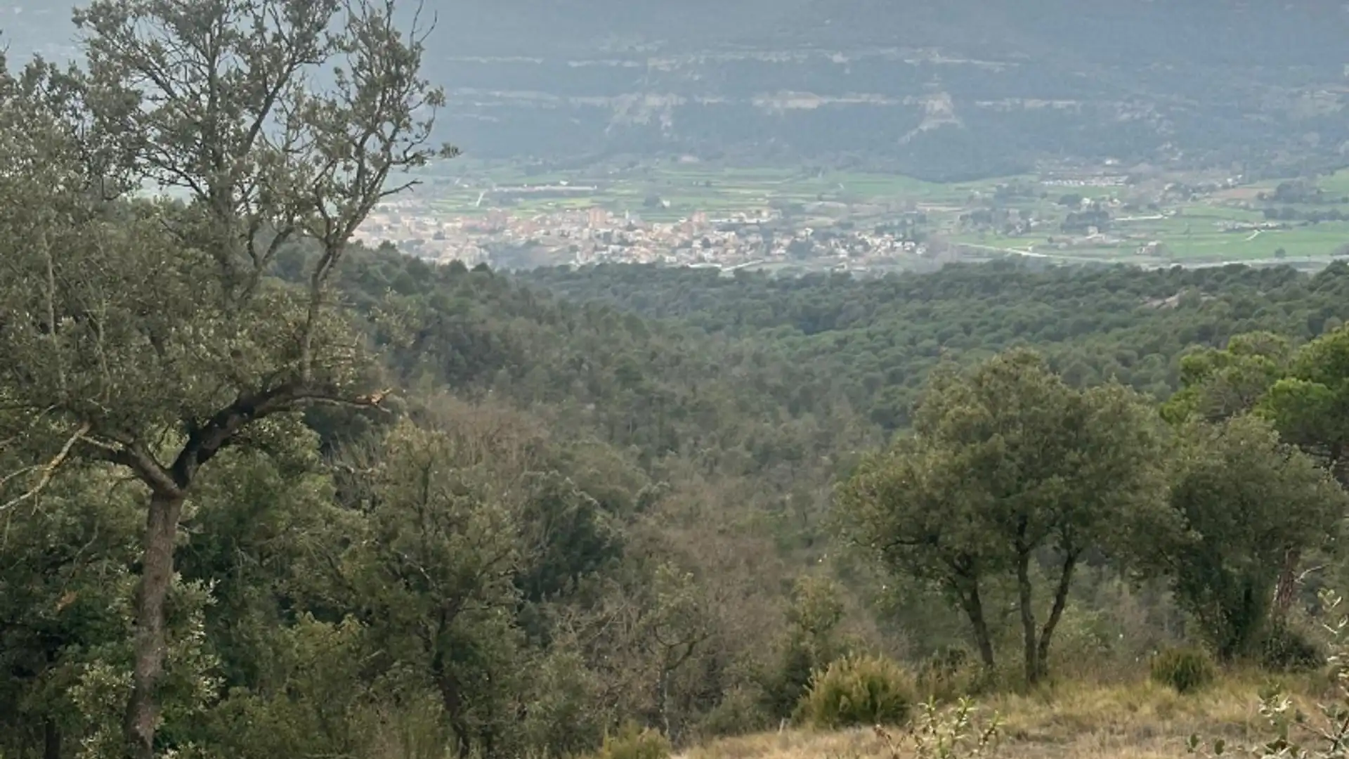 Vista exterior de Casa o chalet en venta en Seva con Aire acondicionado, Calefacción y Jardín privado