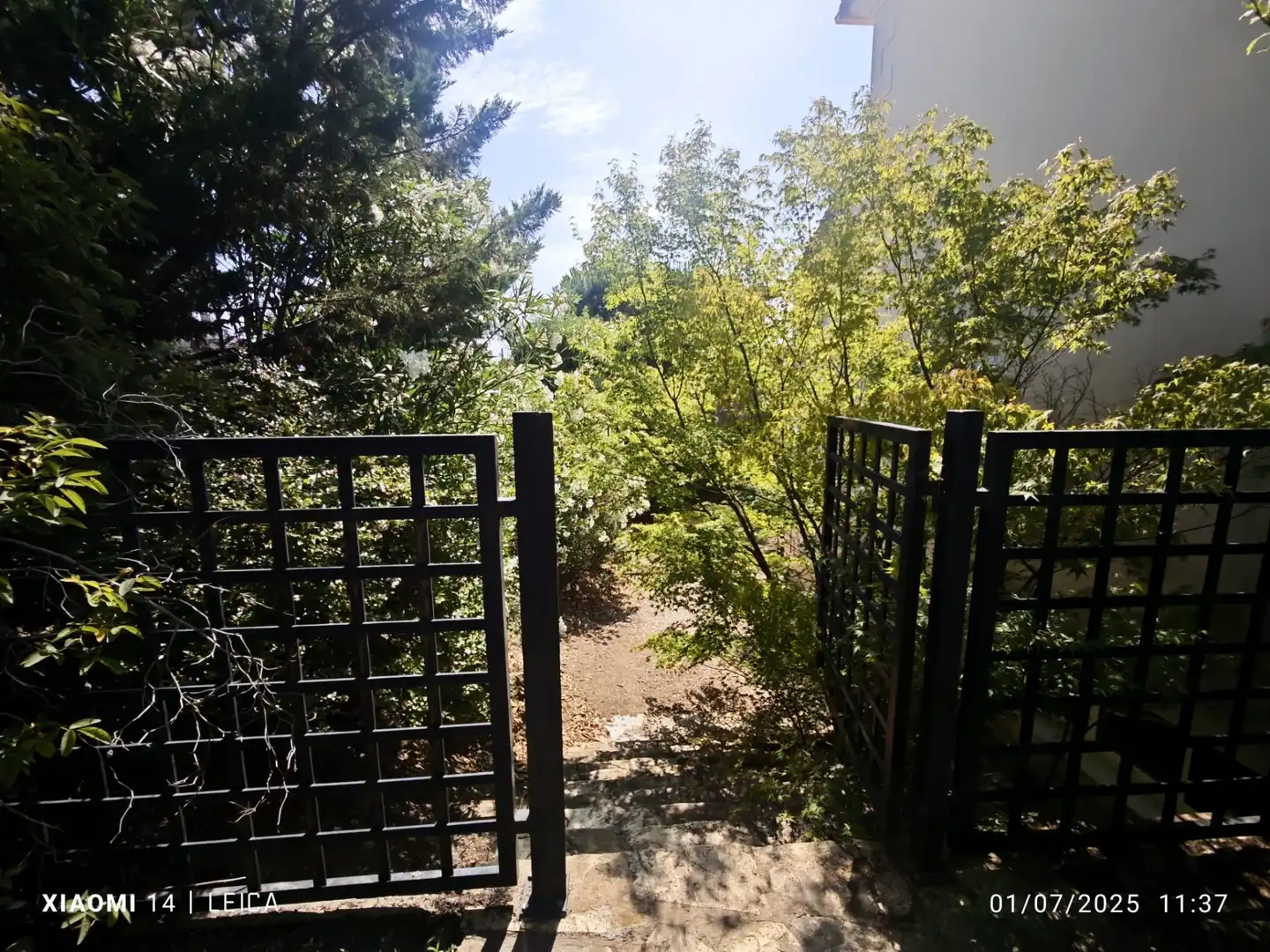 Haus oder Chalet zum Verkauf in Calle Don Felipe de África, Pino Alto - Navarredonda
