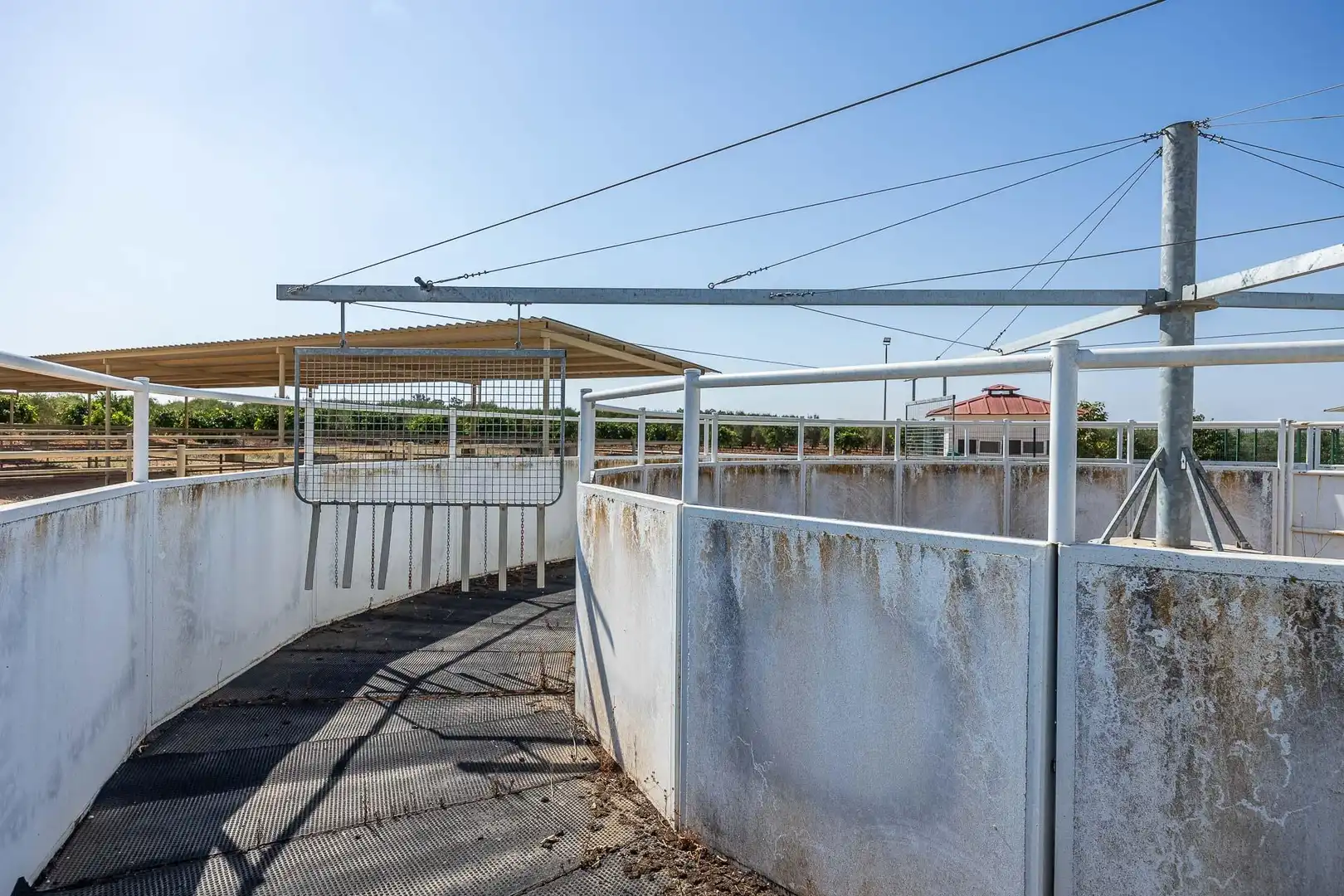 Vista exterior de Finca rústica en venta en Carmona con Calefacción, Jardín privado y Terraza