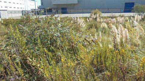 Photo 4 of Industrial land for sale in Asilo - Rebonza - Urbinaga, Bizkaia