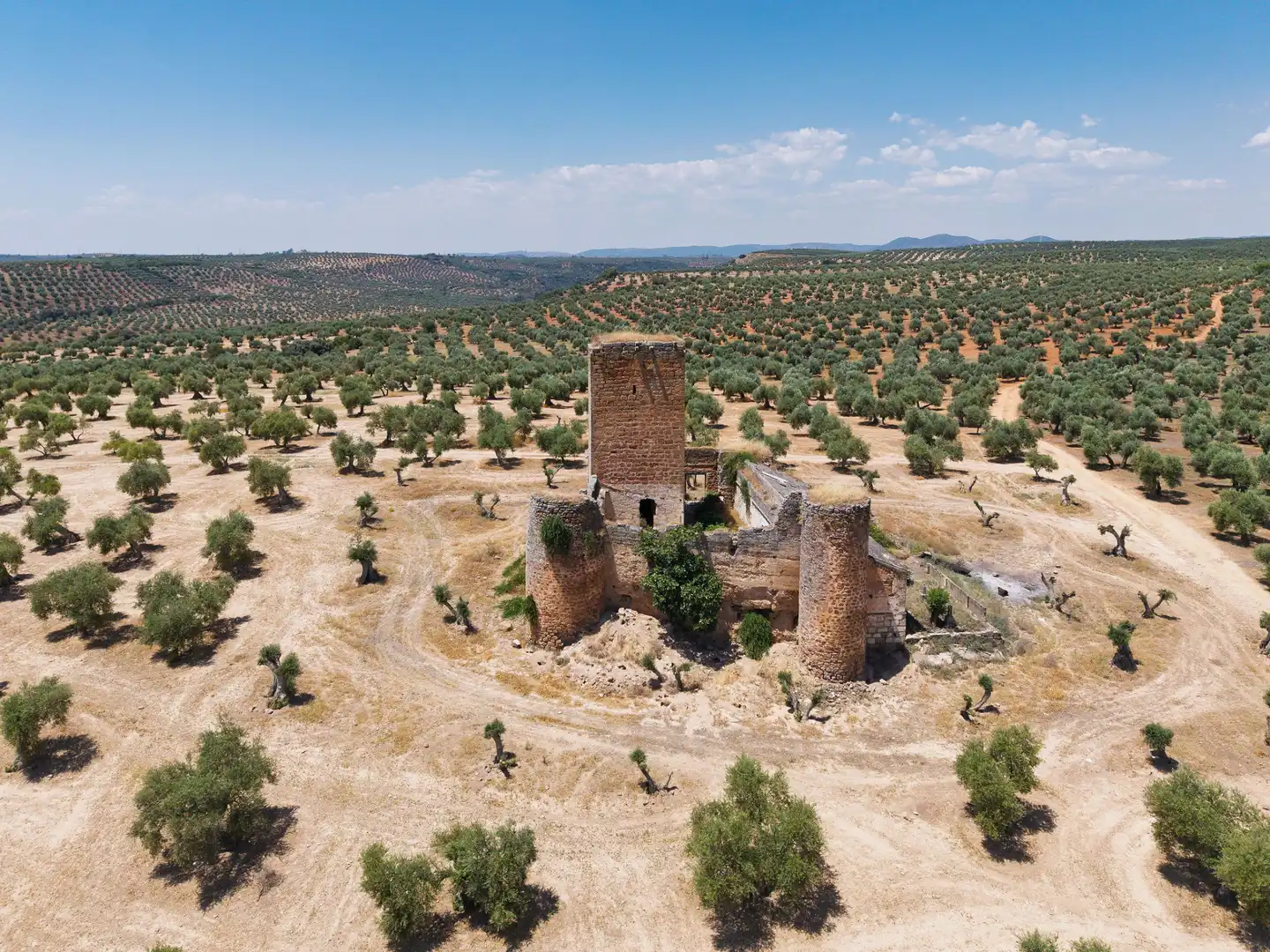 Jardín de Casa o chalet en venta en Marmolejo con Aire acondicionado, Jardín privado y Terraza