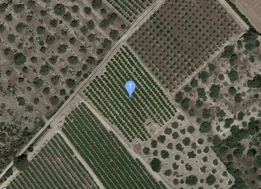 Terreno rustico in vendita a Traiguera, imagen 2