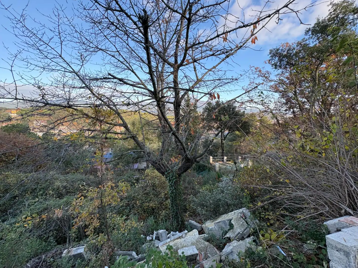 Residential land for sale in Carrer del Turó de l'Home, imagen 21