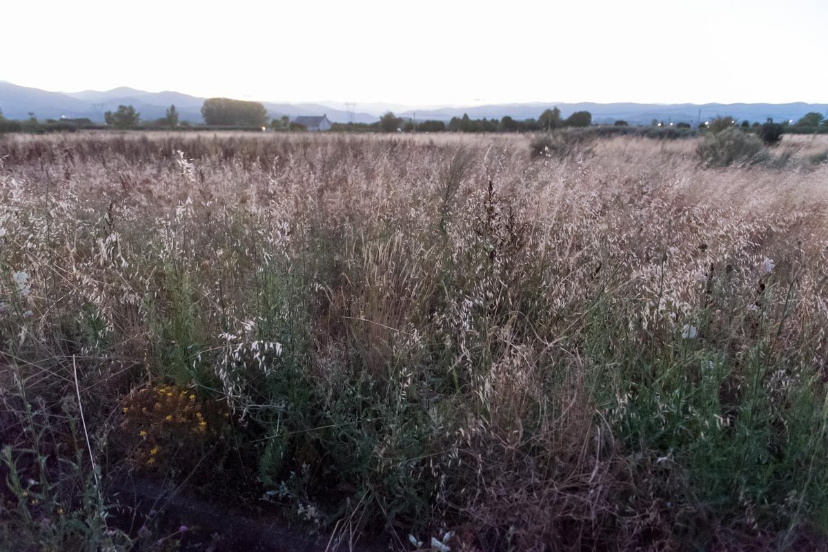 Land for sale in Carracedelo