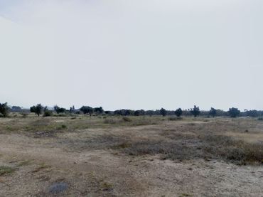Terrain rustique à vendre à La Loma