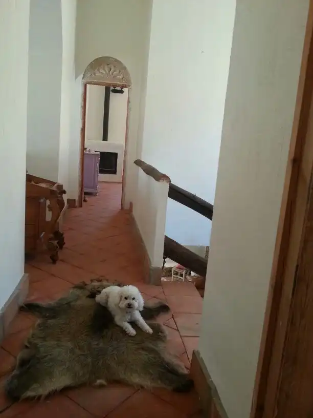 Casa rústica en venda a Huelma, imagen 55